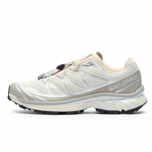 Salomon XT-6 - Rainy Day/Paloma/Ftw Silver - L47988000