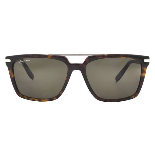 Salvatore Ferragamo Browline Sunglasses SF1037S 240 57 - Brown/Tortoise - SF1037S 240 57 7.0000X5.0000X4.0000