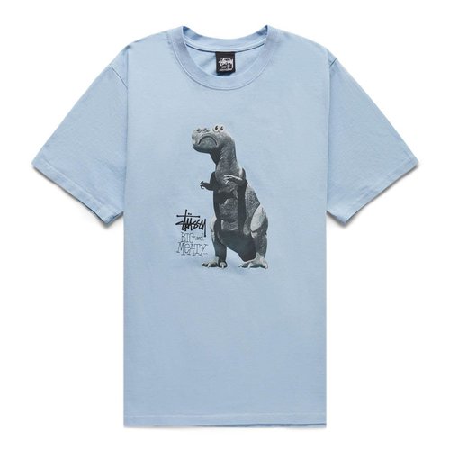Stüssy Big & Meaty Pig. Dyed Tee - 1904880