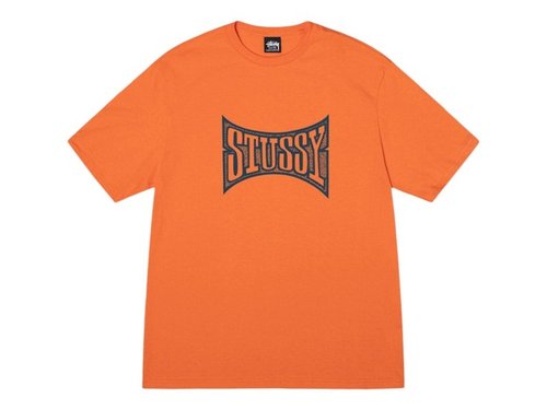 Stussy Champion Tee Shirt - Coral - 1905102