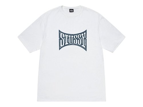 Stussy Champion Tee Shirt - White - 1905102-WHIT