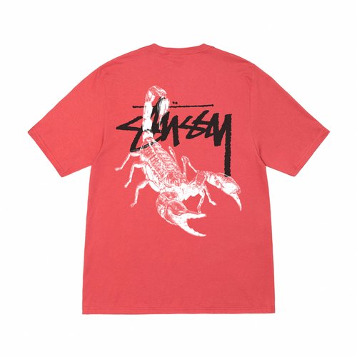 Stüssy Scorpion Tee - Pepper - 1905016