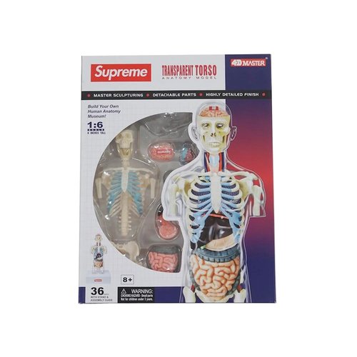 Supreme Anatomy Model - FW18A72 CLEAR