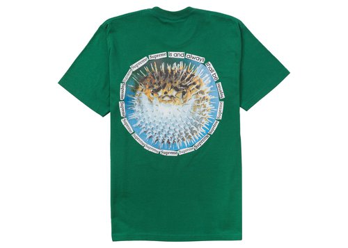 Supreme Blowfish Tee Shirt - Light Pine