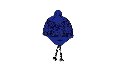 Supreme Chullo Windstopper Earflap Beanie - SU25695