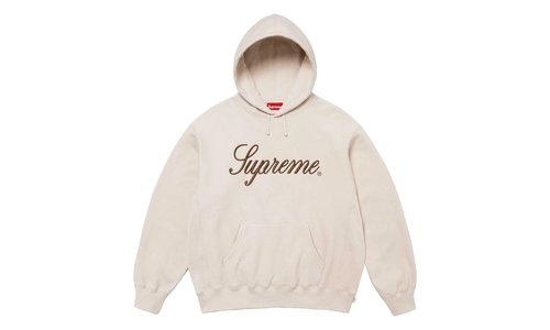 Supreme Embroidered Script Hooded Sweatshirt - SU25757