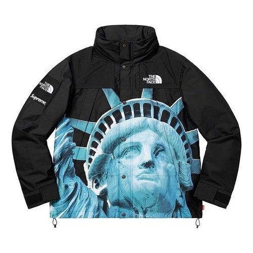 Supreme FW19 Week 10 x The North Face Statue of Liberty Mountain Jacket - Black - SUP-FW19-905