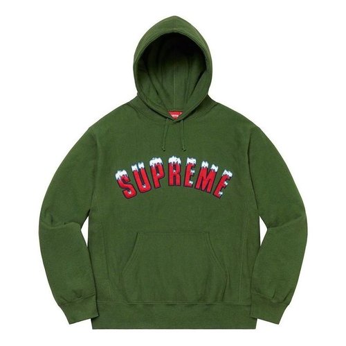 Supreme FW20 Week 1 Icy Arc Hoodie - Olive Green - SUP-FW20-004