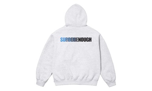 Supreme GOODENOUGH Hooded Sweatshirt - SU25520