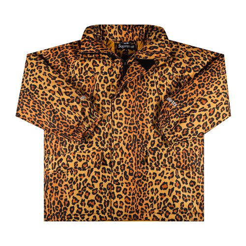Supreme GORE-TEX 700-Fill Down Parka - FW20J6 LEOPARD
