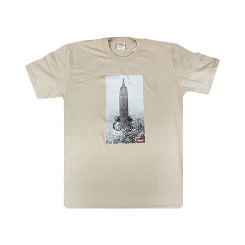 Supreme Mike Kelley The Empire State Building T-Shirt - FW18T38 CLAY