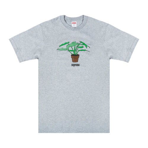 Supreme Plant T-Shirt - FW17T17 GREY