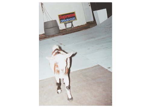 Supreme Sun Damage by Harmony Korine Book White - Multicolor