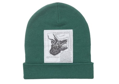 Supreme The North Face Beanie FW24 - Green