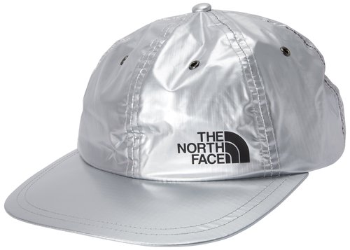 Supreme The North Face Metallic 6Panel - Silver