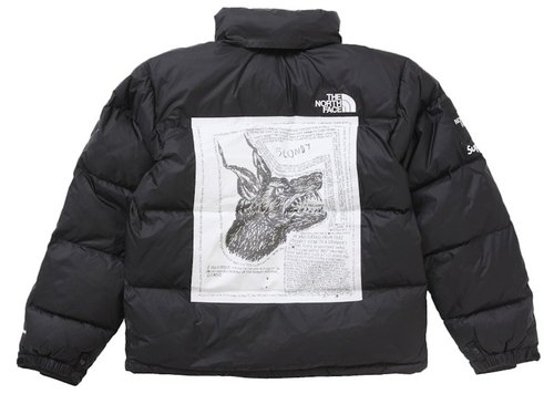 Supreme The North Face Nuptse Jacket 'Paper Print' | Solesense