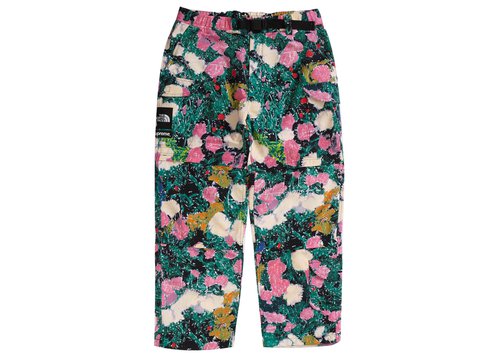 Supreme The North Face Trekking Zip-Off Belted Pant 