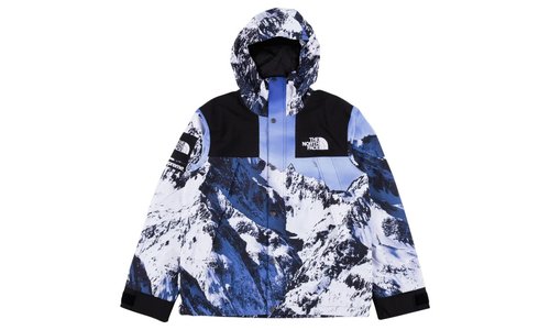 Supreme TNF Mountain Parka - SU3051