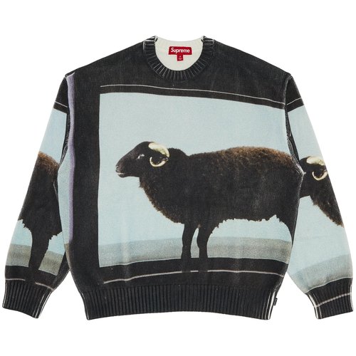 Supreme x Damien Hirst Sweater - SS25SK6 BLACK