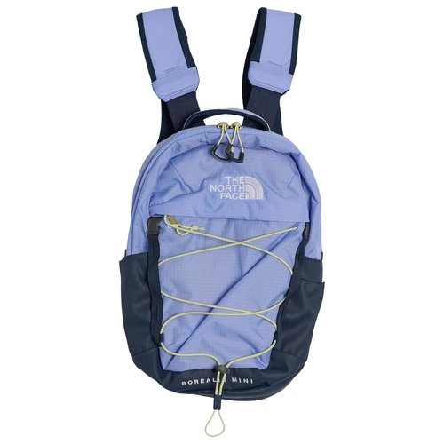 The North Face Borealis Mini Backpack - NF0A52SW-NKW
