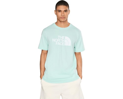 The North Face Evolution Half Dome Regular Short Sleeve T-Shirts Clothing - Opal Frost - NF0A8B6J