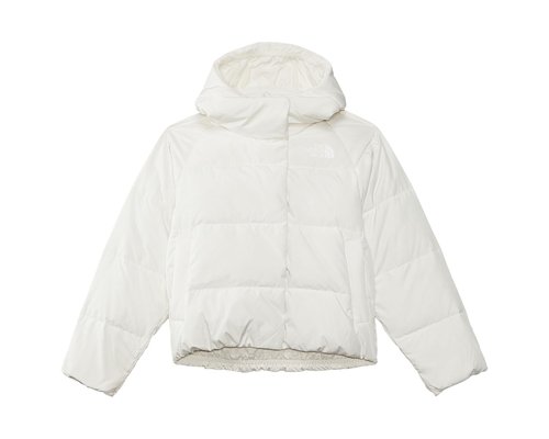 The North Face North Down Hooded Jacket Little Kid/Big Kid Coat - White Dune - NF0A88UD-QLI1