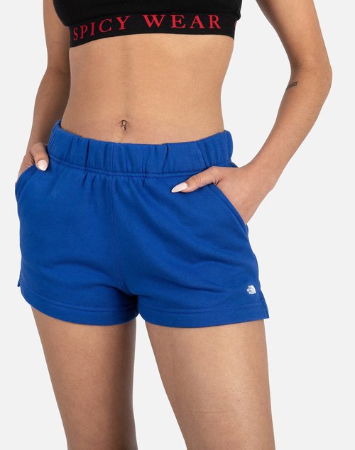 The North Face TNF LOGO SHORTS - Blue - NF0A55MZ-CZ6
