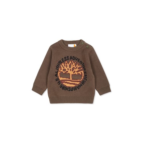 Timberland Green Sweater For With Logo - T6026364J