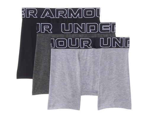 Under Armour Boxer Brief Underwear Big Kid Underwear - Steel - UWSHJ25F-053