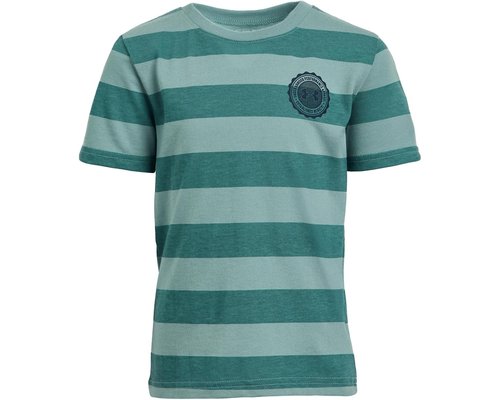 Under Armour Printed Stripe Short Sleeve Workout - Serpentine - UAFIA12E-361