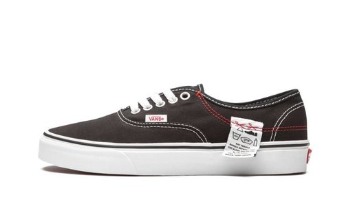 vans authentic diy