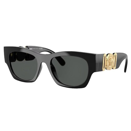 Versace Luxury Sunglasses - Black (Ve_4479U_Gb1/87)